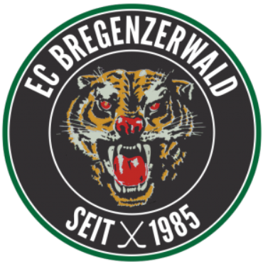 EC Bregenzerwald 2016-Pres Primary Logo iron on transfers for T-shirts